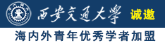 sm小骚狗诚邀海内外青年优秀学者加盟西安交通大学
